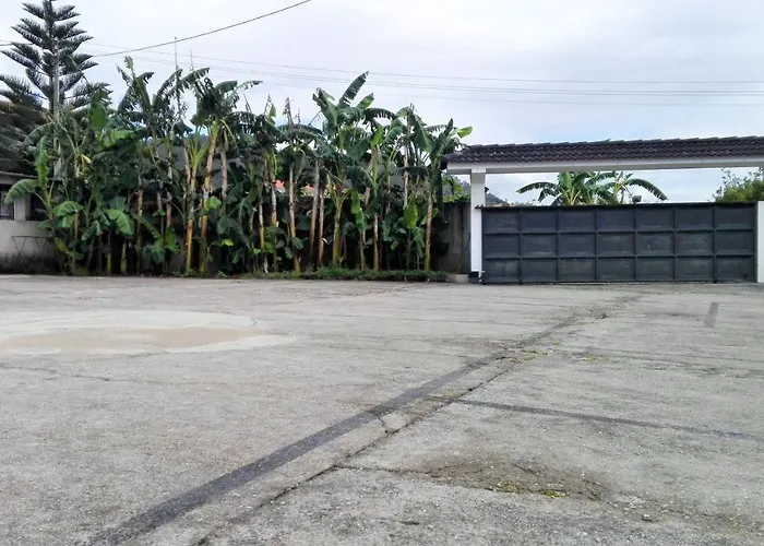 Comfortable House In + Garden And Sea View. * Marinhas (Braga)